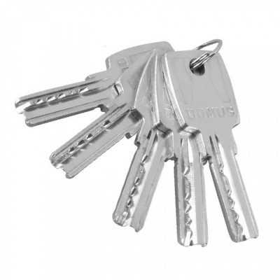 Domus Econ 21083K Αφαλός Κλειδαριάς 83mm 30/53 με Προστασία και Μετά το Σπάσιμο σε Ασημί Χρώμα